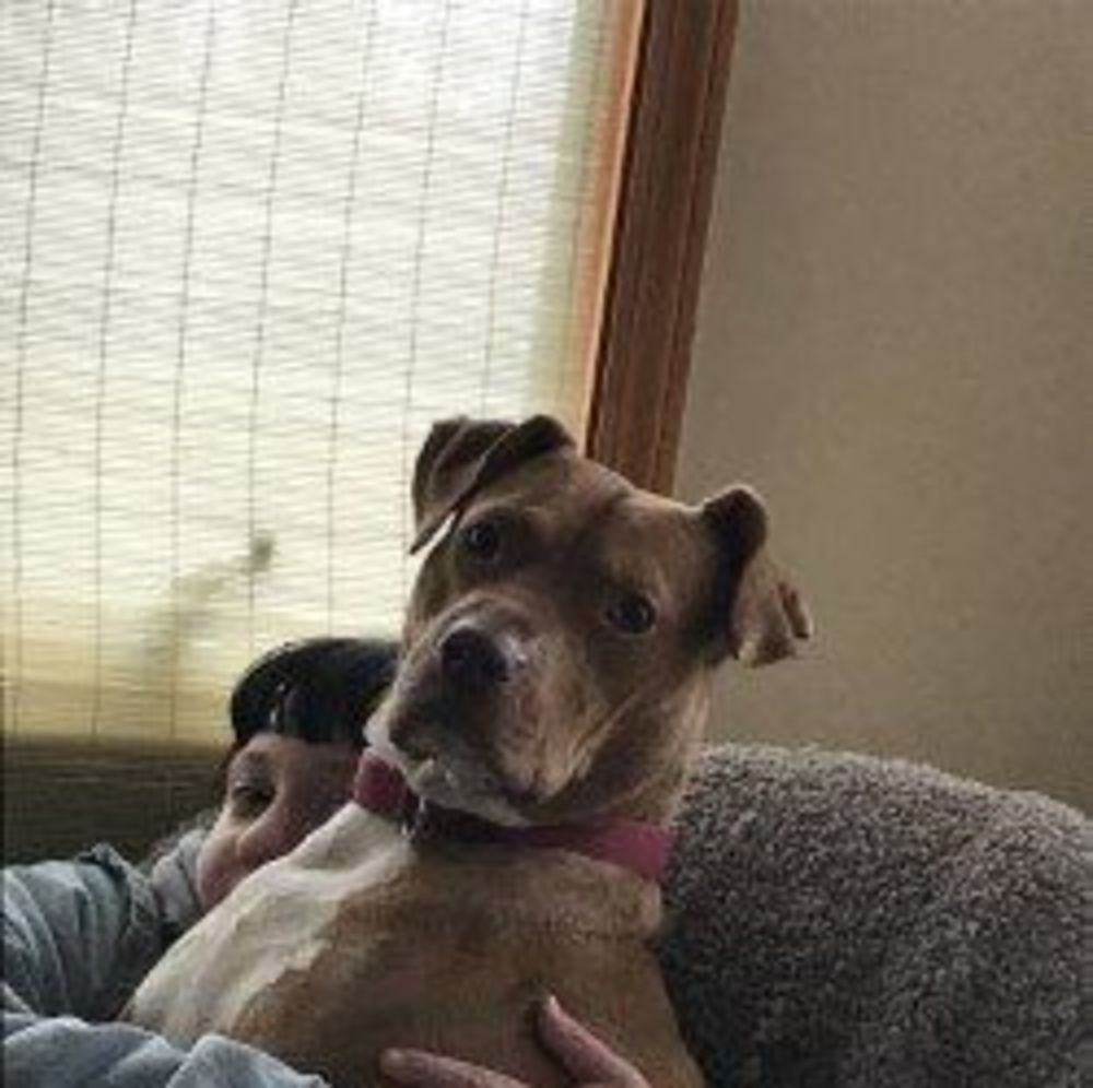 Meet your Posher, Kim